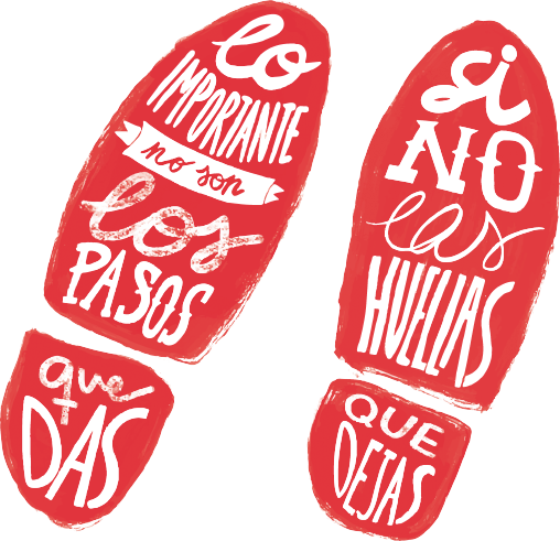 Comprar roacutan españa