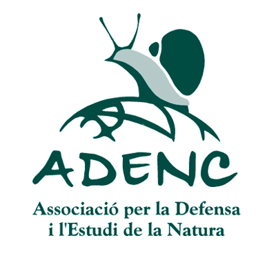 Tadalafil 10mg cipla