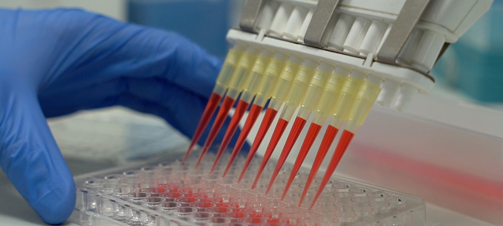 apcalis sx en línea