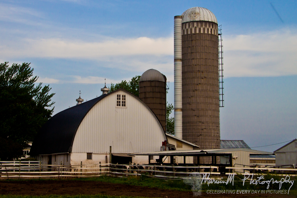 cialis online legale