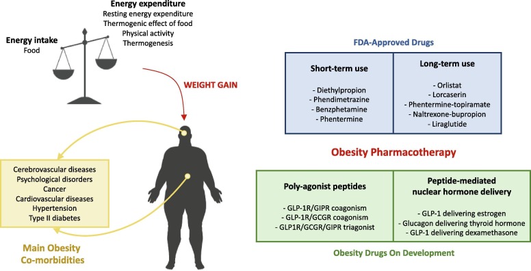 phentermine españa